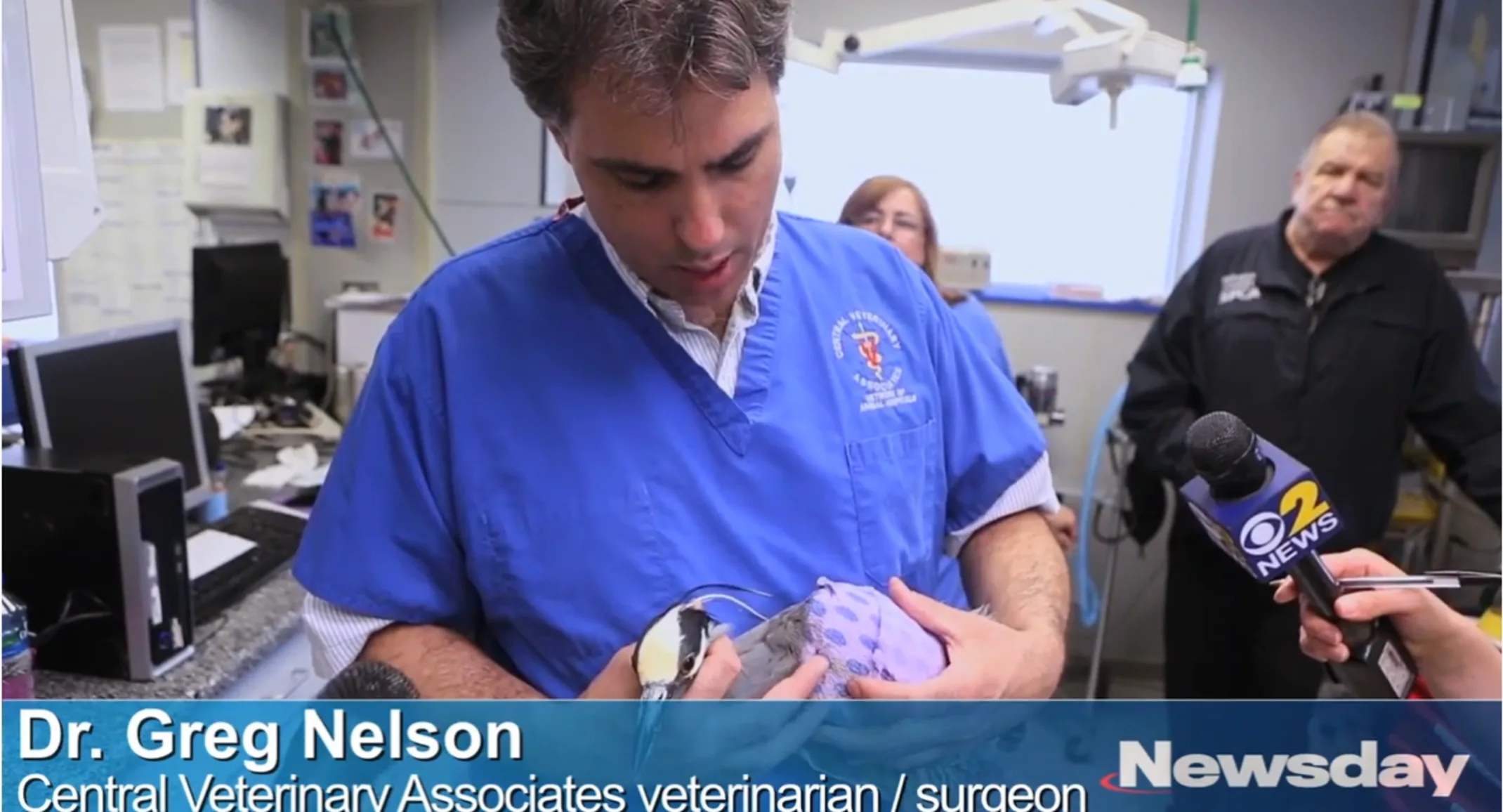 Dr. Nelson holding a bird on the news